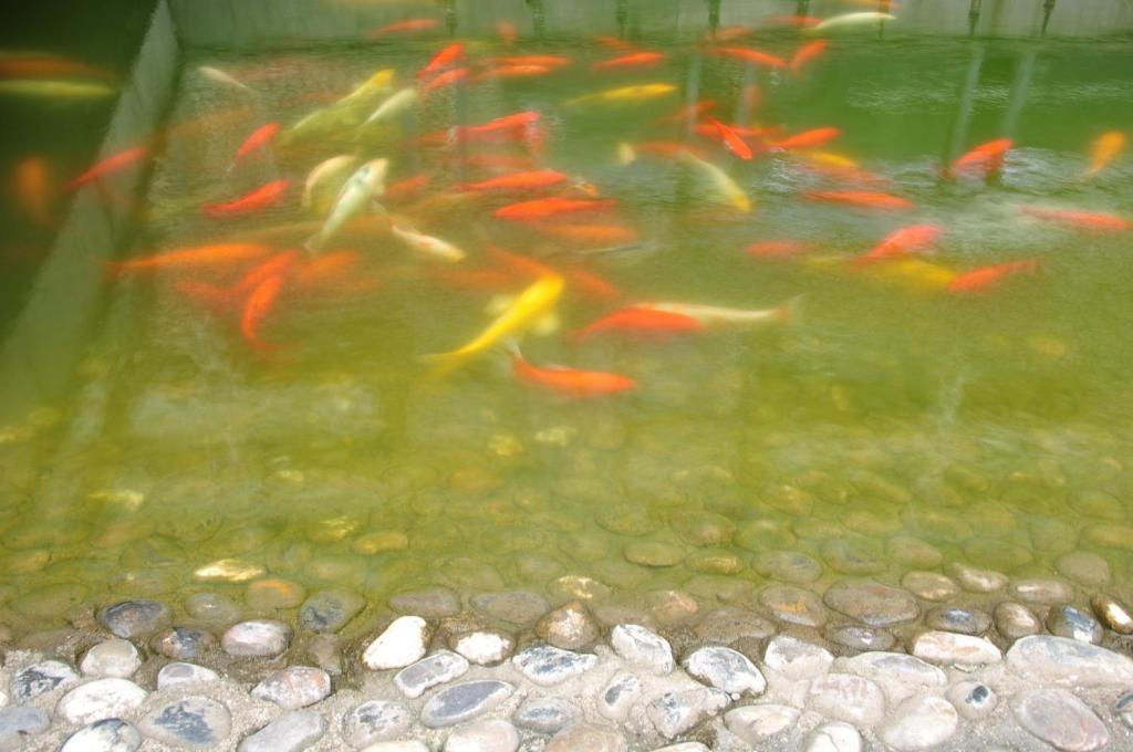 Noahs Hotel Suzhou Suzhou  Ruang foto